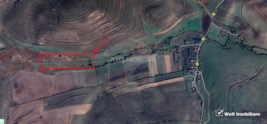 21.500 mp de teren cu privelisti superbe in Valea Agrisului (comuna Iara) - 3