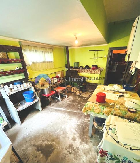 CASA traditionala BICAZU ARDELEAN + teren extravilan 1,6 hectare - 9
