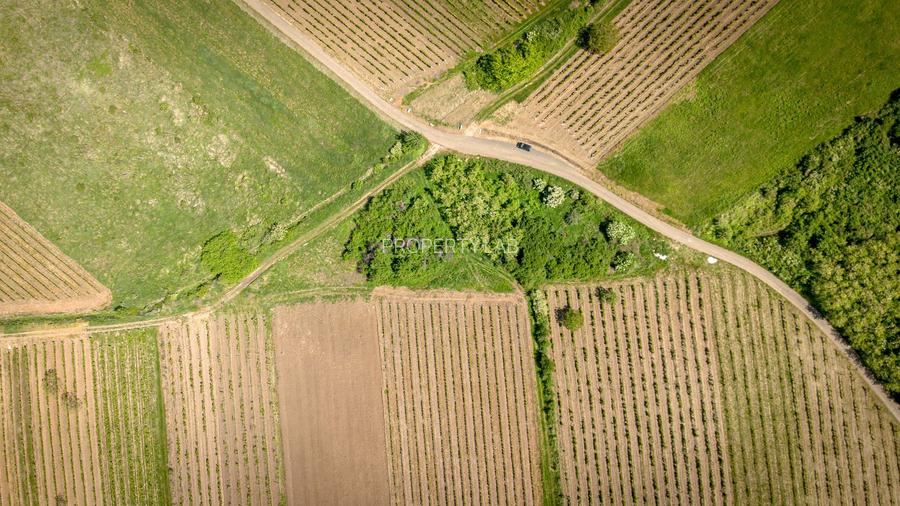 Teren extravilan - 3654 mp Dealul Șiriei - 4