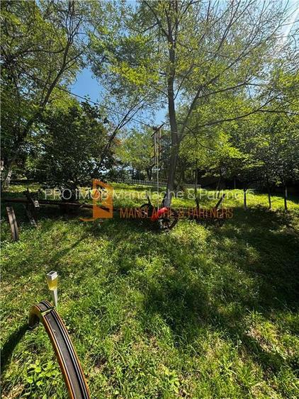 Ansamblu cabanute zona Cozieni - 31