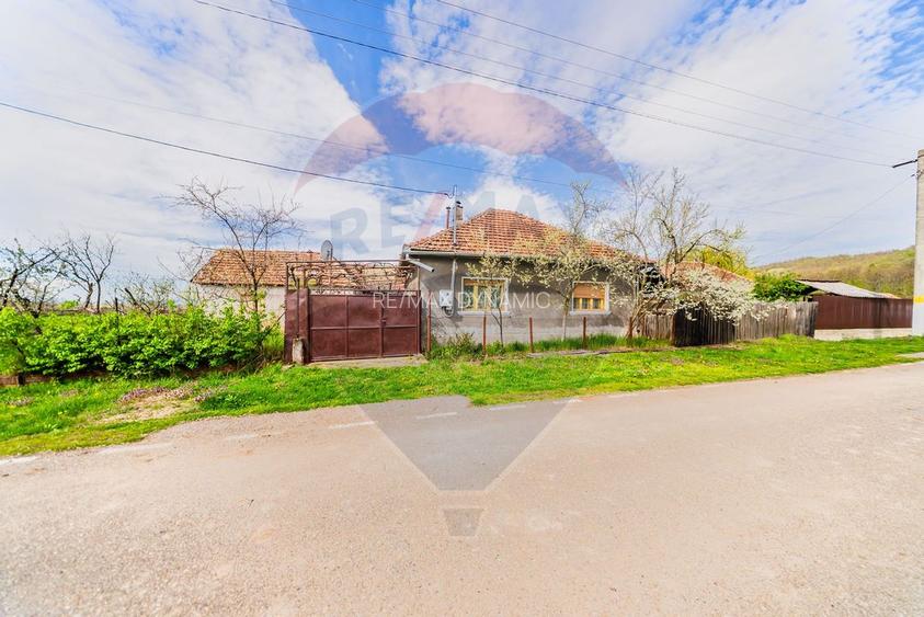 Casă cu teren 4500mp de vanzare in Carand Jud. Arad - 5