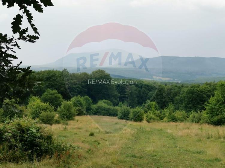 Teren aproape de pădure, situat într-o zonă aerisită - 3