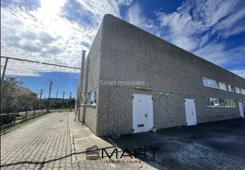 spatiu industrial  zona Selimbar Sibiu - 2