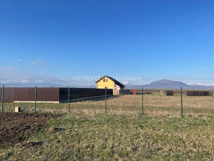 Vanzare terem pentru case Halchiu - 3