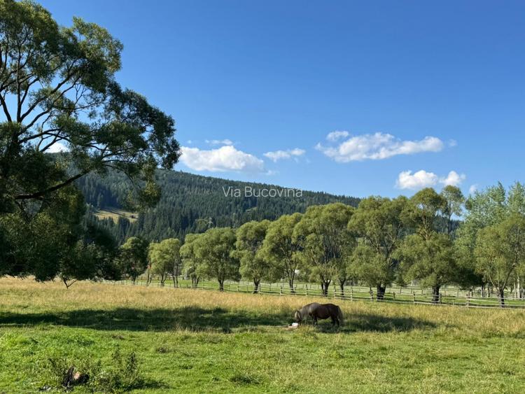 Vanzare 16700 - 9 loturi - Plaiul Sarului la sosea- microdezvoltare langa oras - 16