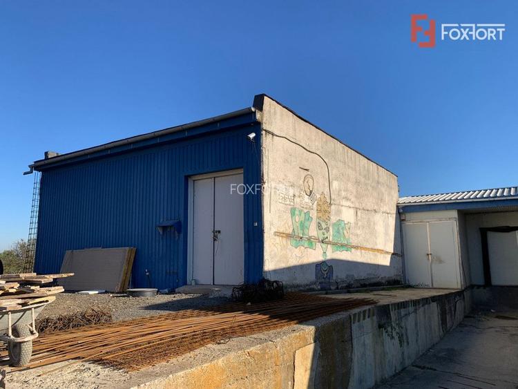 COMISION 0% Hala Industriala 500 mp cu Spatiu de Birou 200 mp in Buzias - 3