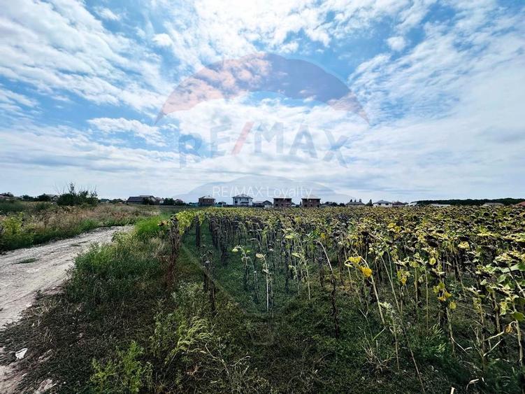 Teren 14.863mp, deschidere 42mp, acces 3 laturi - Ciorogarla, langa A0 - 5