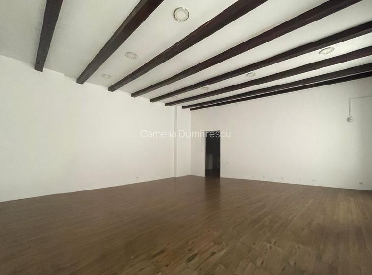 CISMIGIU-KOGALNICEANU APARTAMENT PE 2 NIVELURI-FINISAT PREMIUM - 5