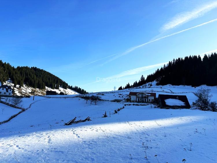 Teren intravilan 8400 mp, Fundata, zona Bran -  Moieciu - 7