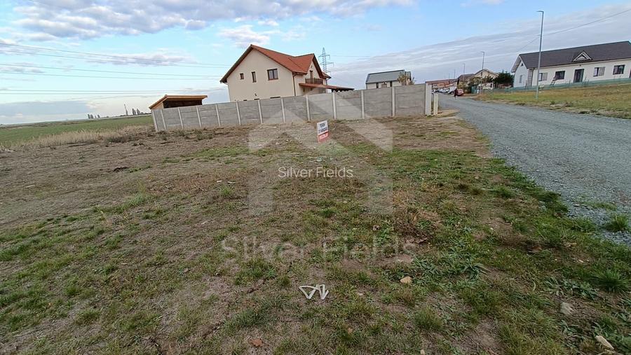 Teren Dumbrăvița cu front generos 24 ml - 3