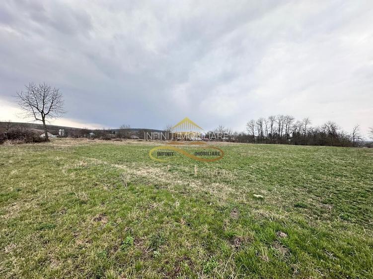 Teren de vanzare Blagesti Bacau - 4