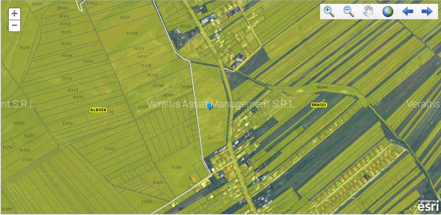 Teren intravilan 33.496 mp, Com. Bradu (fosta Com. Albota), Arges - 6