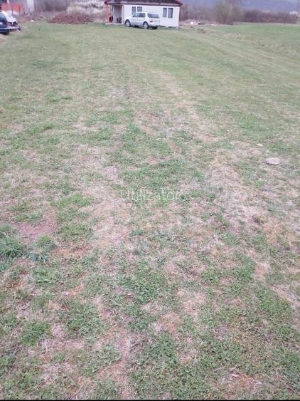 Teren intravilan de vânzare în Crainimăt - 3