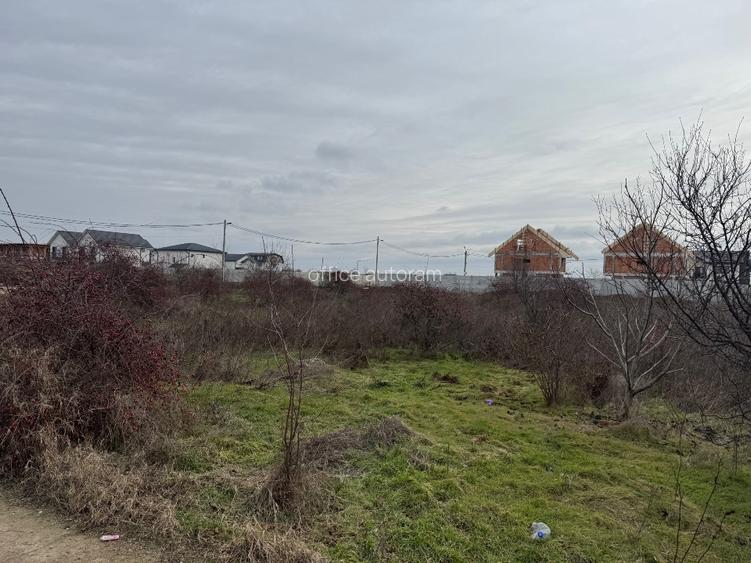 Canal/apa, asfalt,gaze, deschidere 40m, limita sect 5 - 6