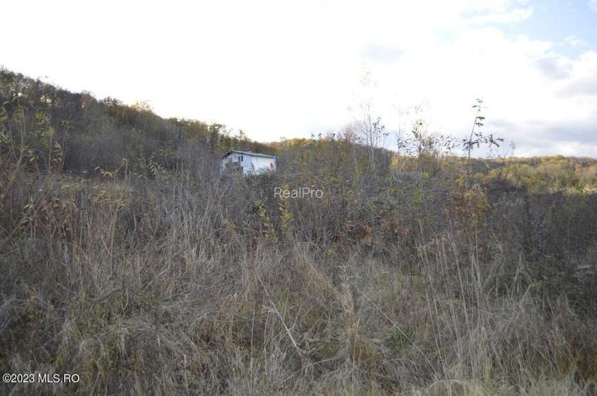 Babana - Centru - Primarie, Teren intravilan 13742 mp! - 16