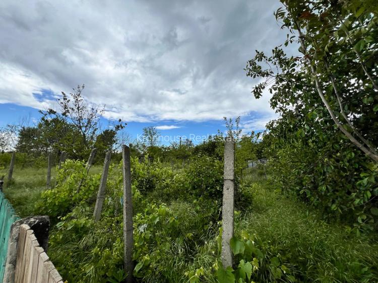 Casa + teren 4430 mp, vie si pomi fructiferi, 22 km de Tecuci - 27