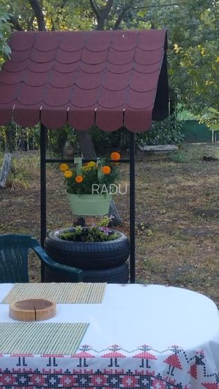 Casă locuibilă cu 1400 mp teren, vie pe rod și livadă – aproape DN3 – Ștefănești - 11