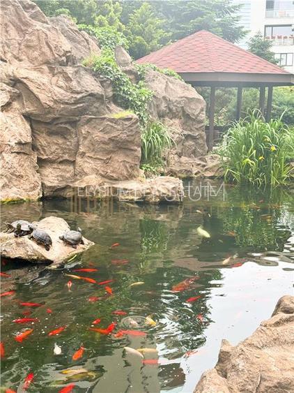 Apartament 2 camere de inchiriat North Area Lake View - 41