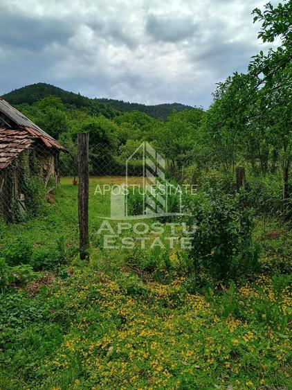 Casa batraneasca de vanzare, 4 camere, in Hunedoara, sat Micanesti - 31