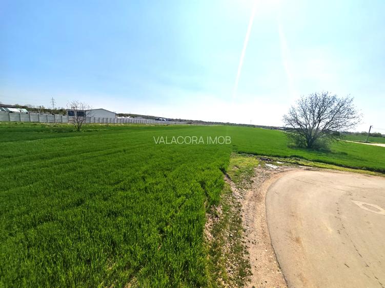 Teren intravilan | Dragomiresti Vale | Sat Zurbaua IF | INVESTITIE - 5