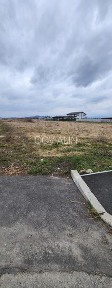 Stupini str. Barsei, asfalt, utilitati, 14 loturi 500-700 mp, suprafata 7692 mp. - 2