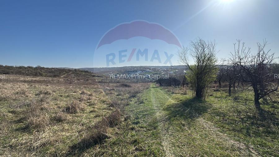 Teren intravilan de vânzare, 1106 mp –Paleu, județul Bihor - 4