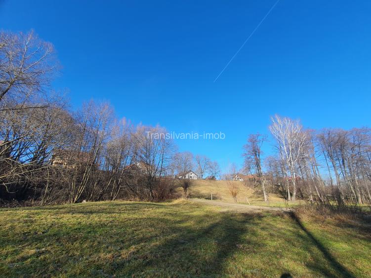 Teren rezidential zona Bran Predelut zona de case si pensiuni - 4