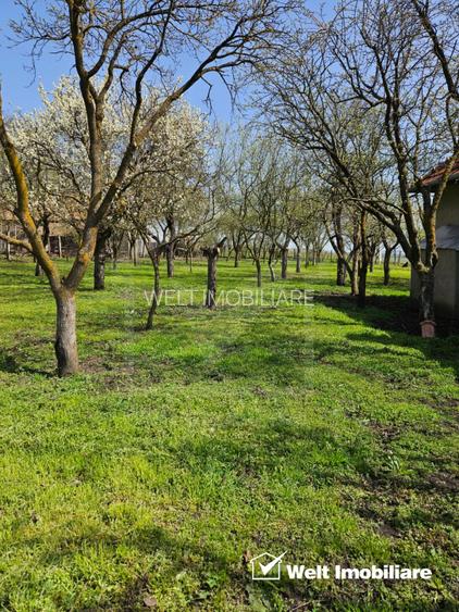 Casa de vanzare, teren 2377mp, Ceanu Mic, judetul Cluj - 9