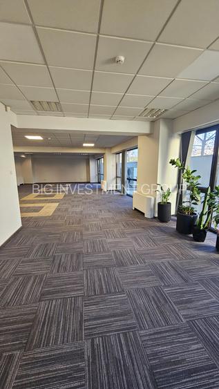 Spatiu birouri in imobil de birouri, P-ta Victoriei, parter - 5