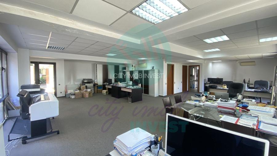 Spații de Birouri Moderne, Cișmigiu - 13
