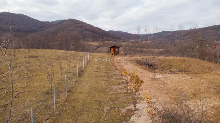 Teren cu suprafața de 5100mp amplasat într-o zonă superbă de munte - 8