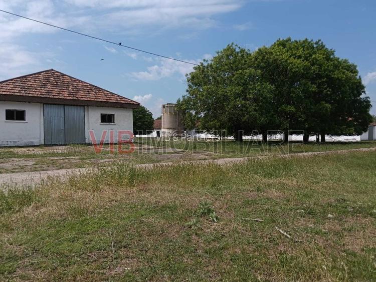 Ferma complet utilată – 30 ha teren comasat cu 11.500mp grajduri renovate Timiș - 8