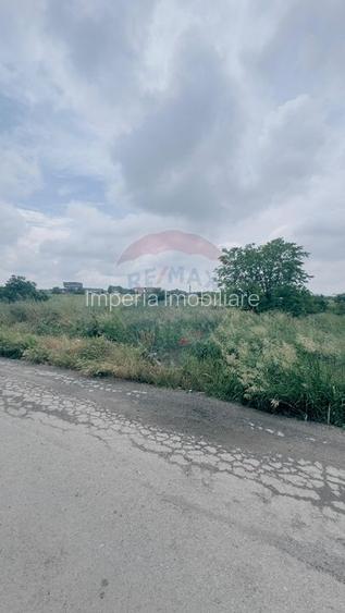 1.134 mp cu front 39,4 ml - Briera Valcii- Intrare din Centura de Nord - 2