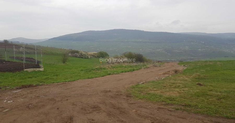 Teren intravilan 750 mp, cu PUZ, zona platoului Radaia - 5