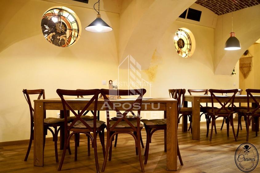 Afacere la cheie, in apropierea Castelului Corvinilor in Hunedoara - 21