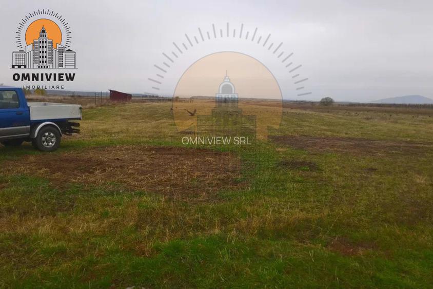 Teren intravilan Dobolii de Jos 47.700 mp | PUZ+autorizație | POT 50% - 7