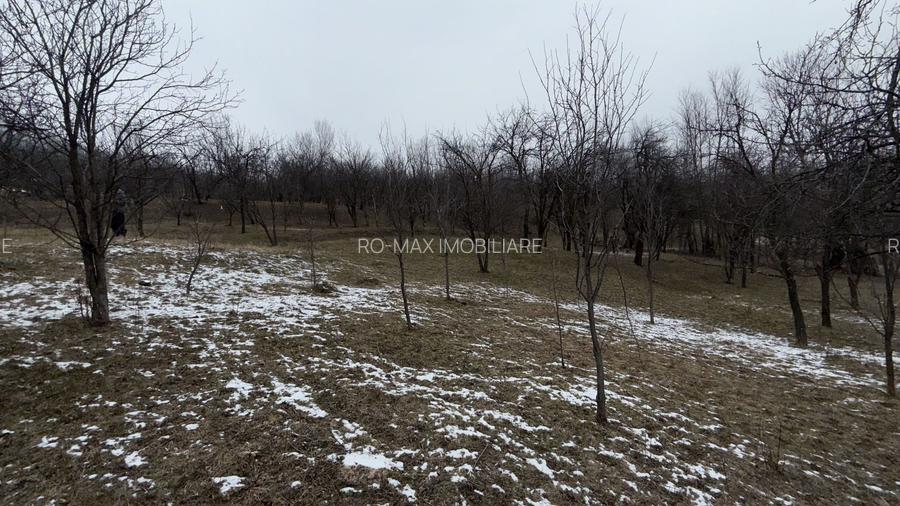 Teren 4652 mp cu izvor pe el, Lunca Mare, lângă păstrăvăria Doftana - 13