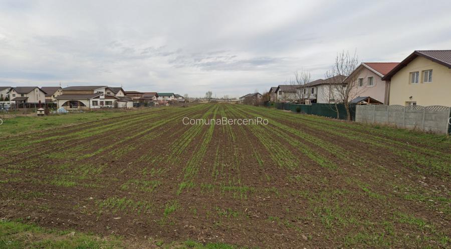 Teren Extravilan Padurea Craiului la intrarea in Com. Berceni | 3200mp - 2
