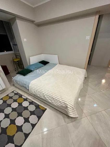 INCHIRIERE GARSONIERA HERASTRAU FICUSULUI 40 MP - 2