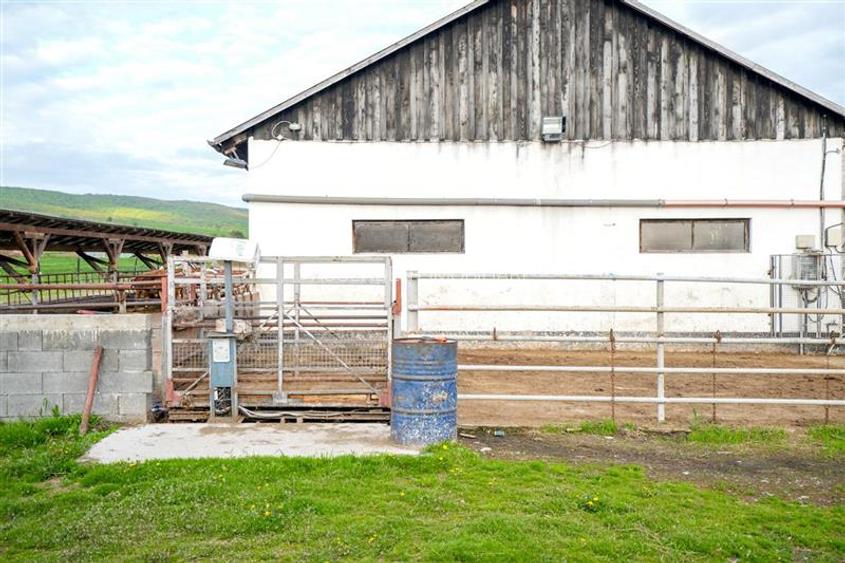 Ferma+Anexe specifice+ Constructie rezidentiala+222.000 mp domeniu - 34