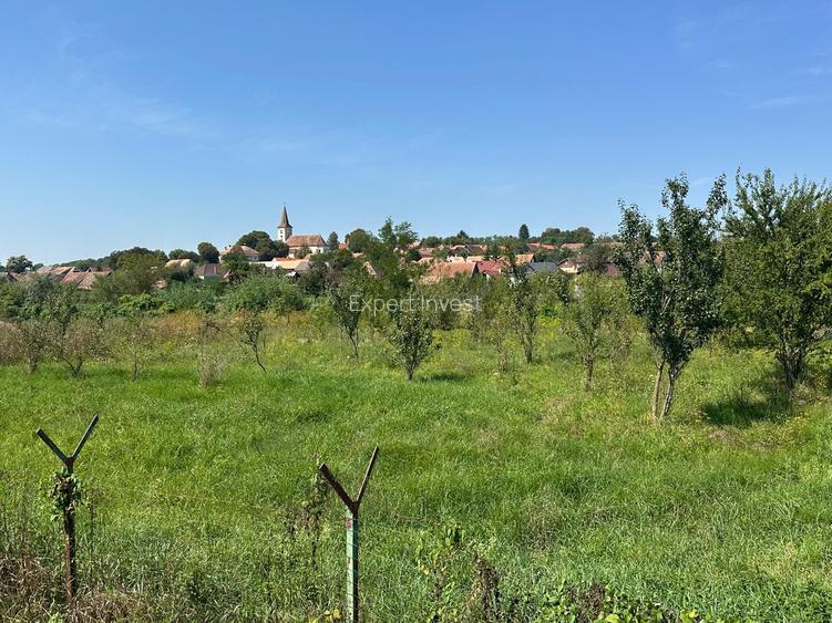 Vand casa singur in curte - P+M - teren 3000 mp - Marpod - 2