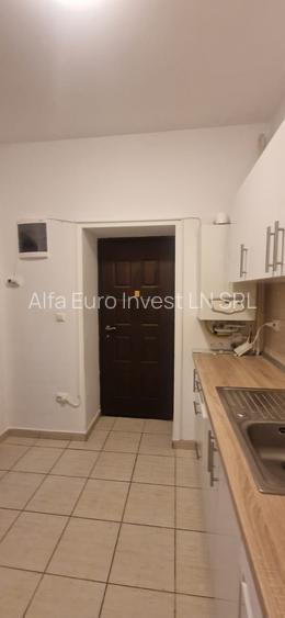 Inchiriere garsoniera cocheta, zona Blumana - 8