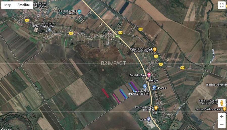 Teren extravilan 12.896 m.p. Sat Beharca, Loc. Cotofenii din Fata, Jud. Dolj - 2