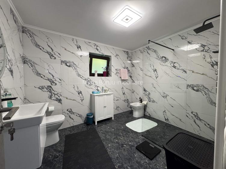 Vila P+M,GARAJ, T=741 mp,D=28m,an 2019,zona centrala-Palat de Justitie - 14