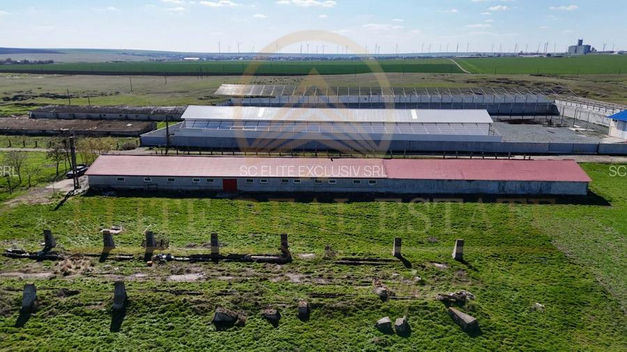 Tariverde - Ferma zootehnica functionala, 3 hectare teren intravilan! - 6