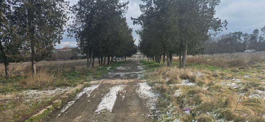 Exclusivitate,Agigea-Penny Market, teren 49284mp, intravilan, 124m desc.la DN 38 - 4