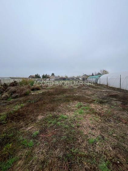 Teren Intravilan Poiana - 4