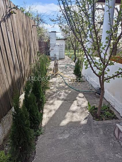 Vila 9 camere***gradina cu pomi fructiferi//1085 mp teren***Dragomiresti-Deal - 18