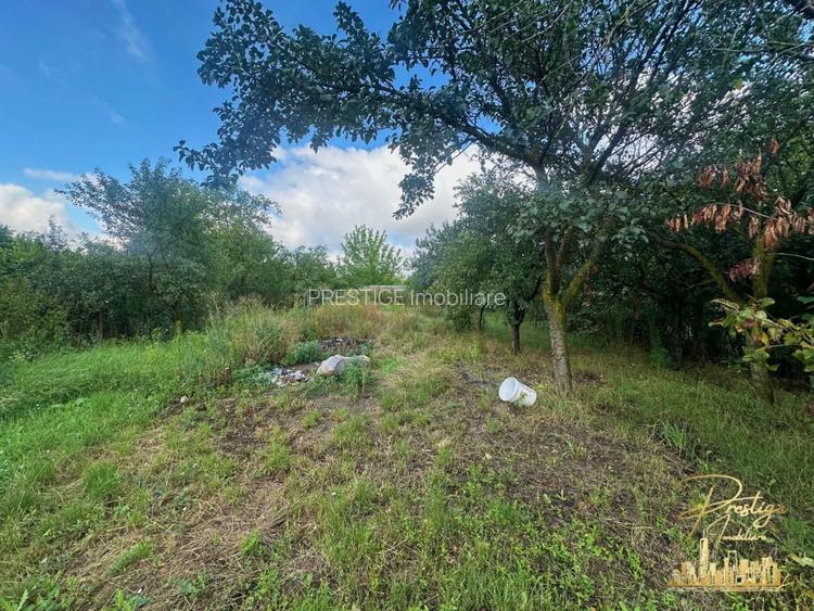 Casa cu anexe si teren de 959 mp de vanzare in Tinca - Bihor - 39