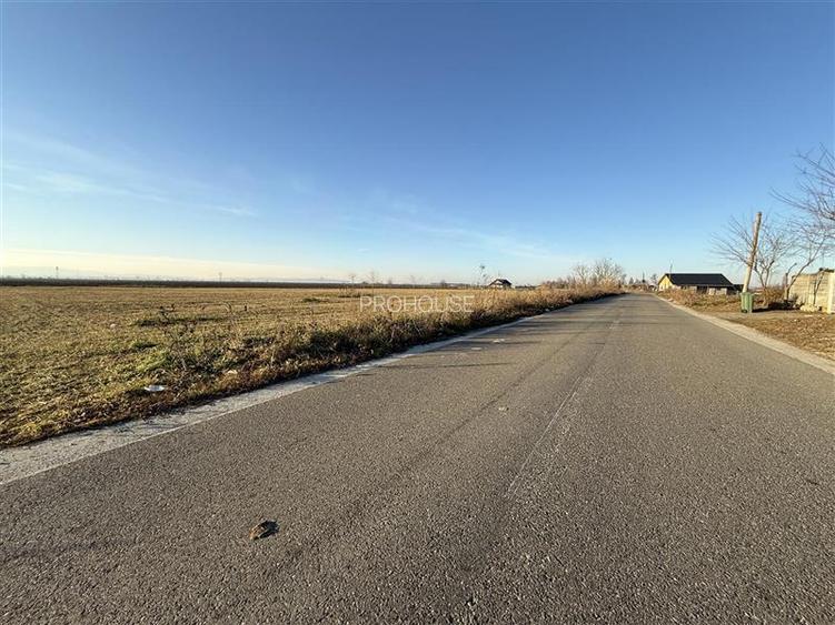 Letea Veche- Holt - 3.600mp - extravilan - 2